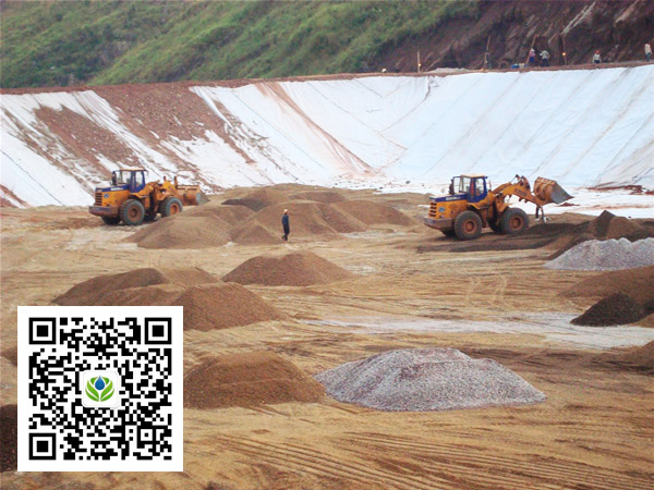 復(fù)合土工膜廠家